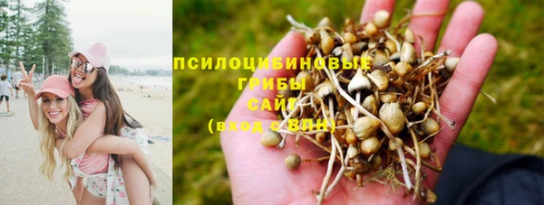 бошки Алексеевка